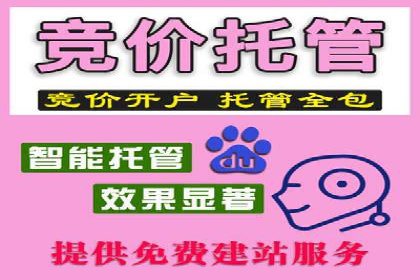 案例研究：如何通过竞价广告实现精准营销
